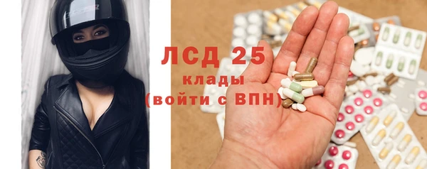ГАЛЛЮЦИНОГЕННЫЕ ГРИБЫ Алзамай
