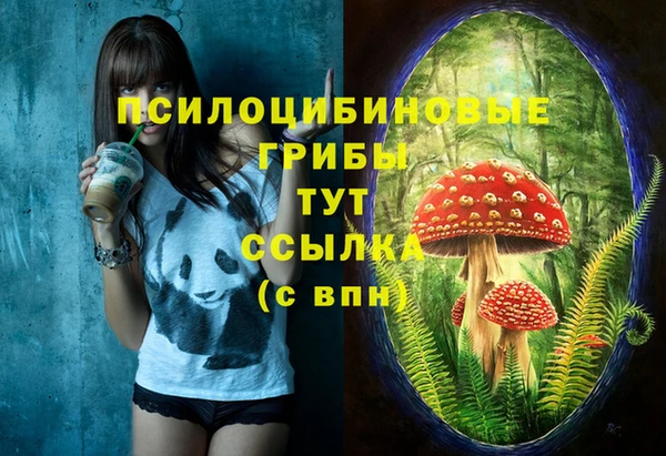 тгк Алексеевка