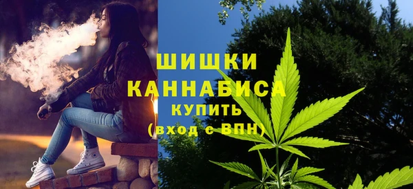 спайс Алексин
